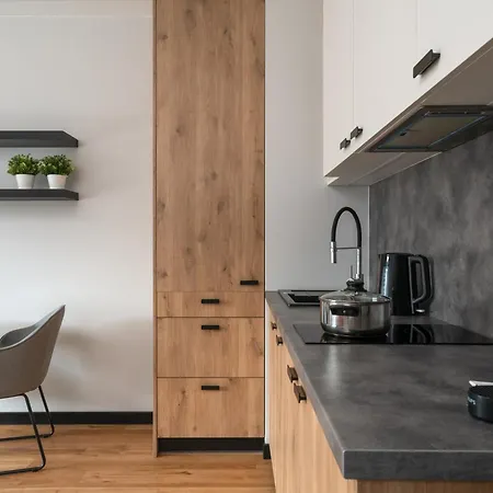 Apartment Apartamenty-wroc Center By The Bridge